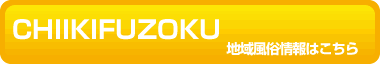 地域風俗情報サイト